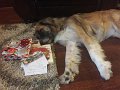Kids_X-Mas_2016 (51)